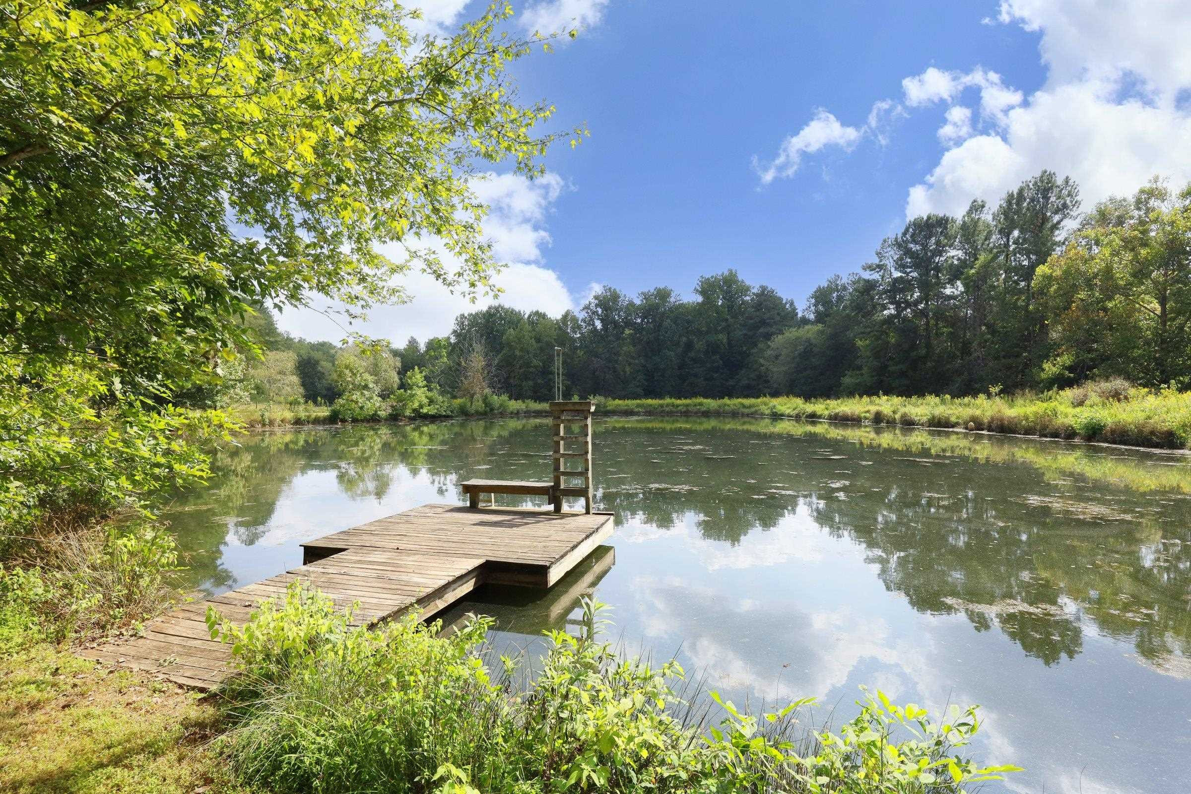 1800 Halls Mill Road photo 56