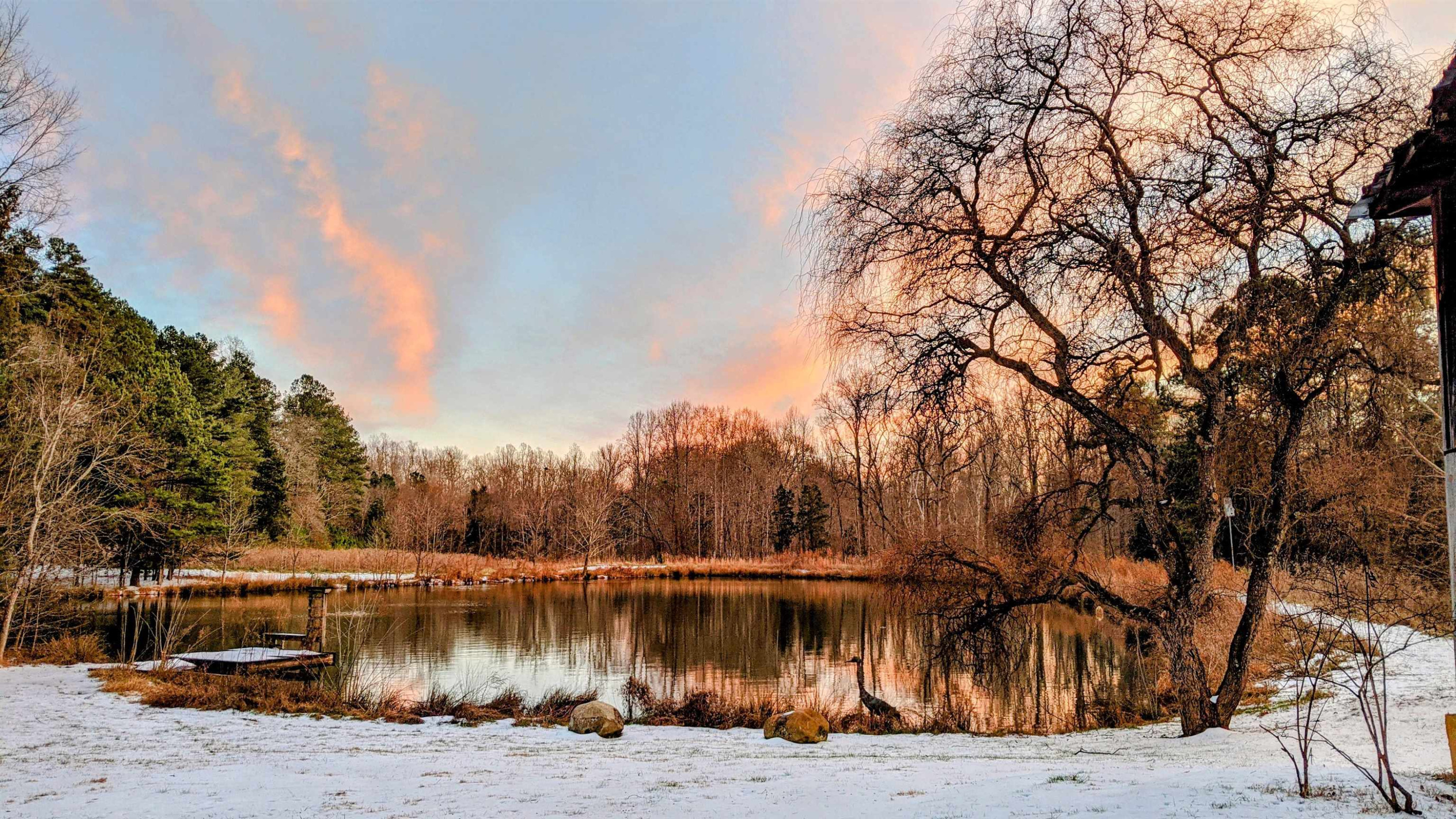 1800 Halls Mill Road photo 63