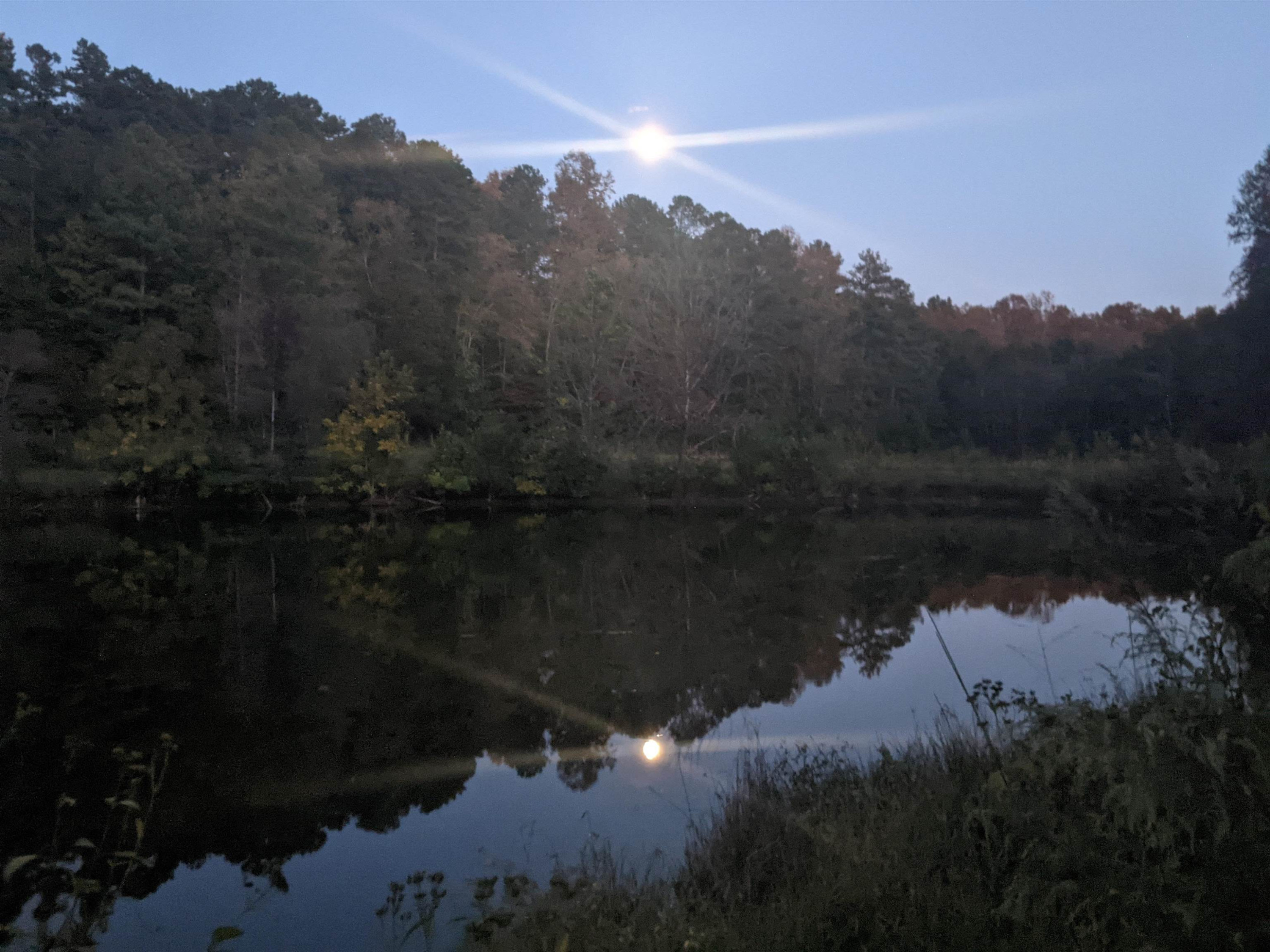 1800 Halls Mill Road photo 65