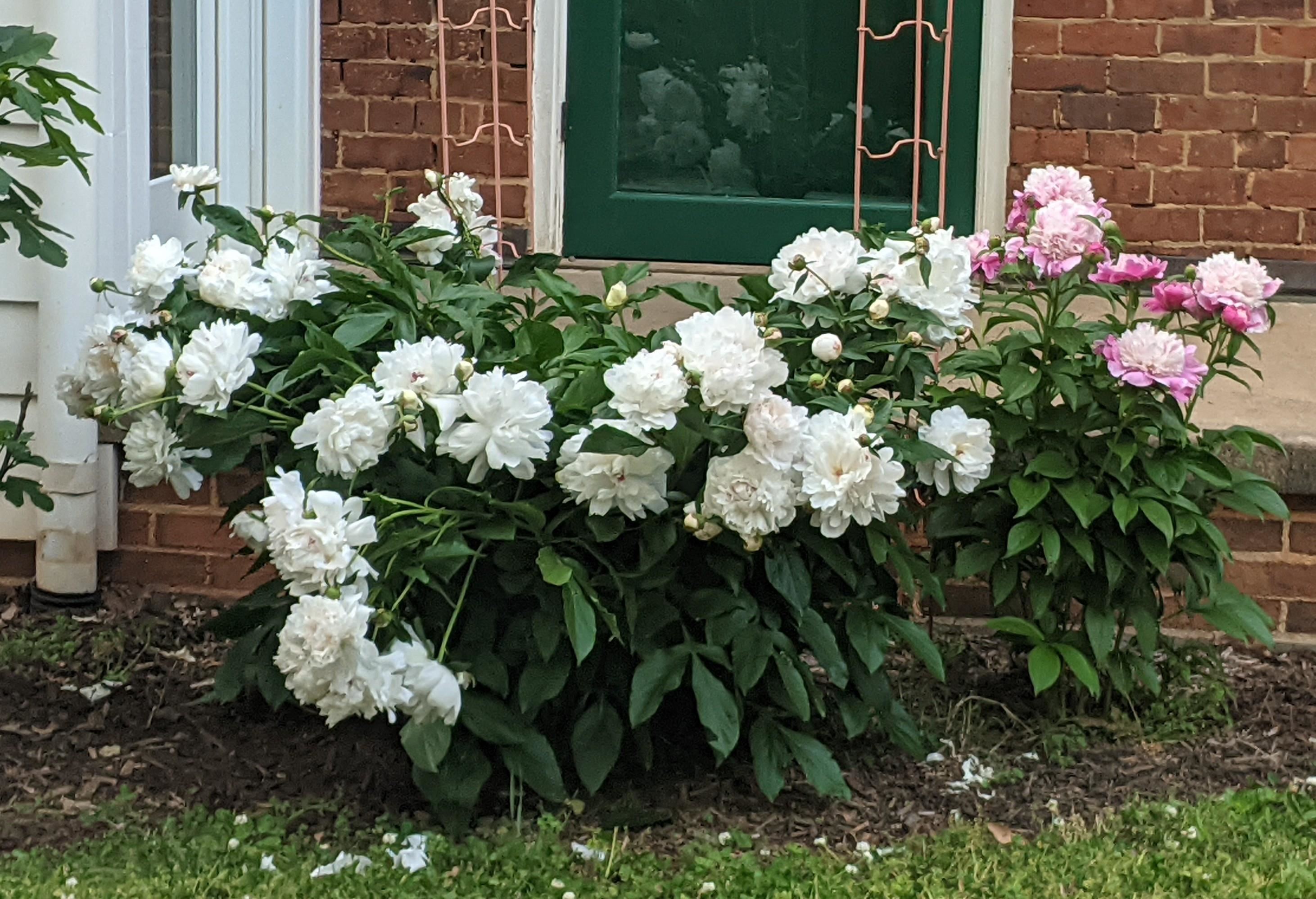 1800 Halls Mill Road photo 66