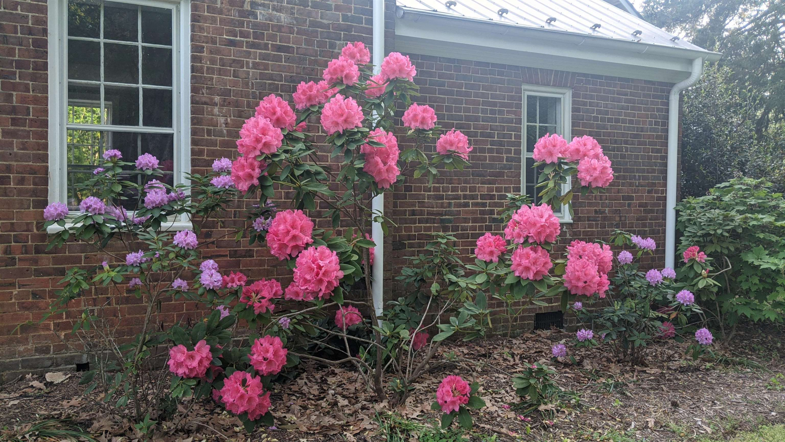 1800 Halls Mill Road photo 67