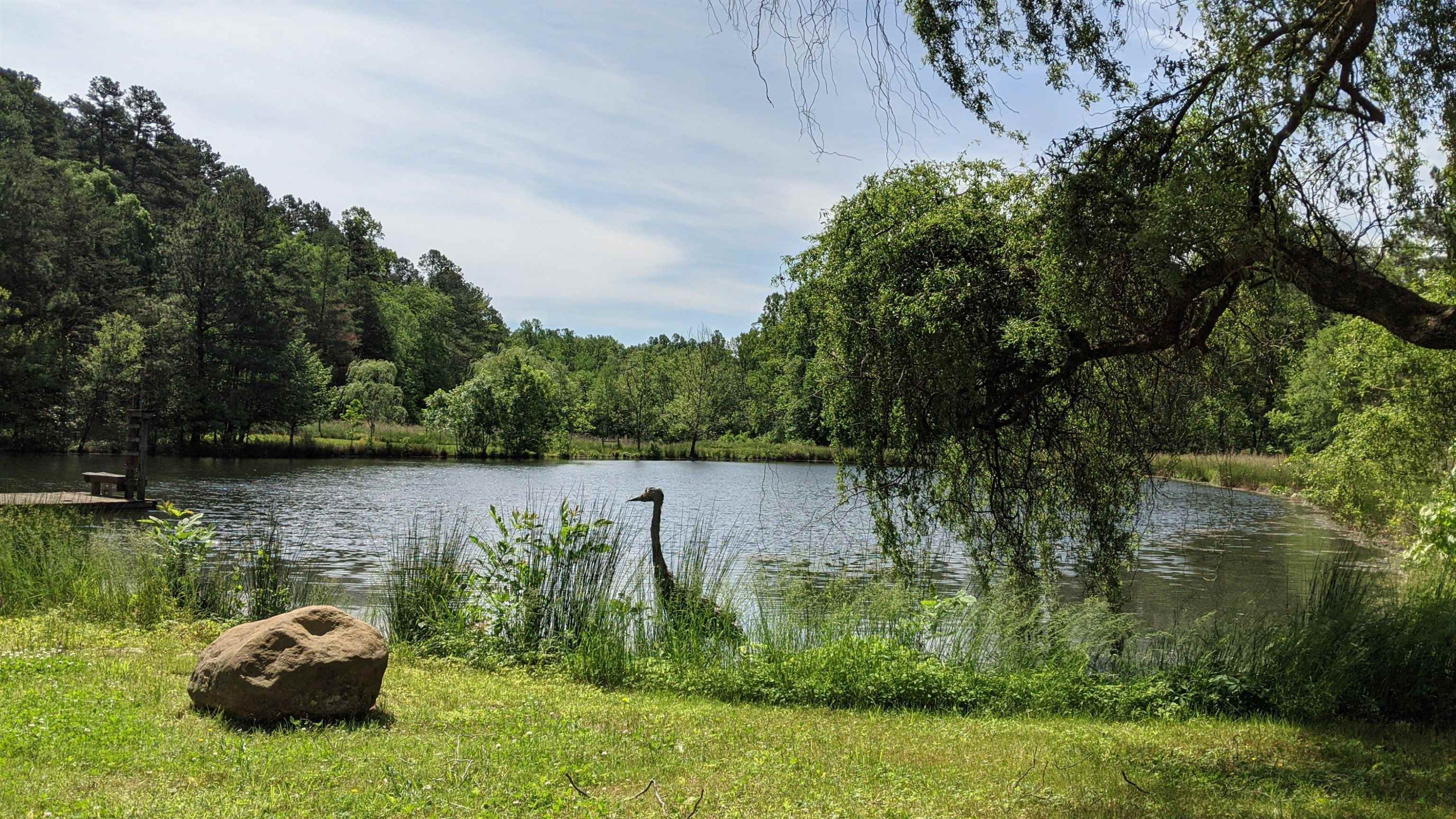 1800 Halls Mill Road photo 69