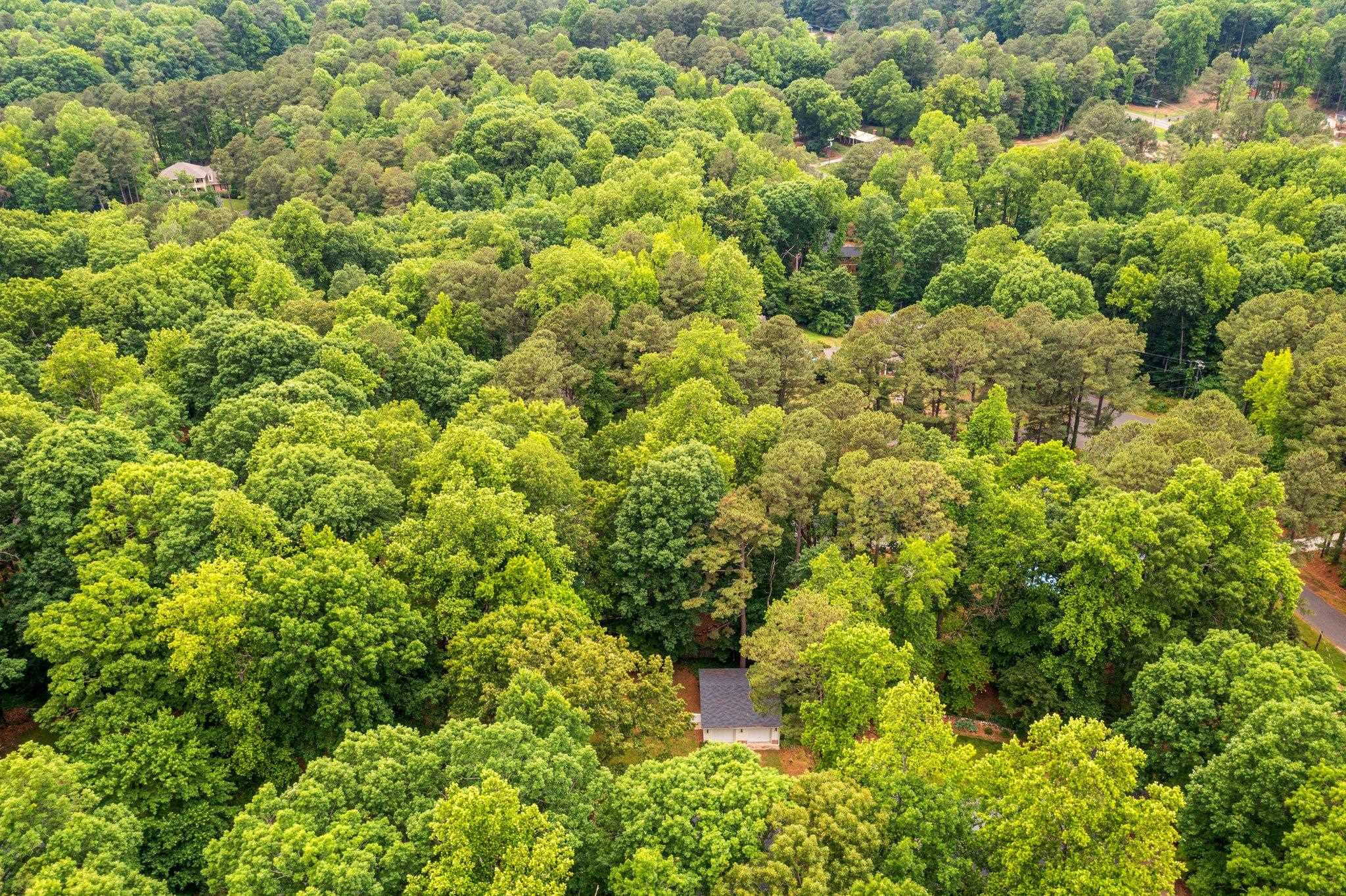 5425 N Highland Drive photo 14