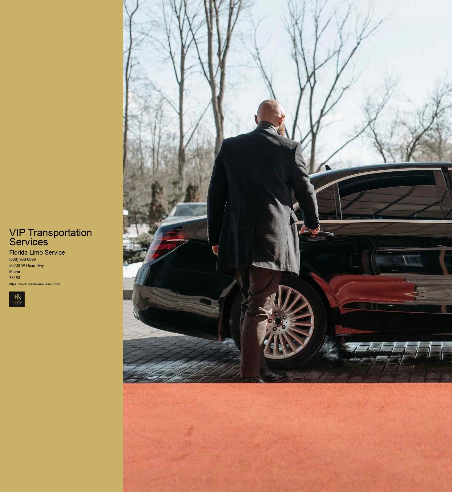 VIP Transportation Services