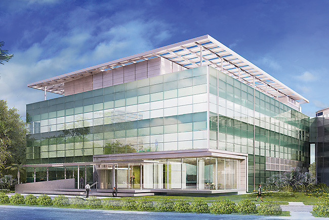 Mayo Clinic Jacksonville