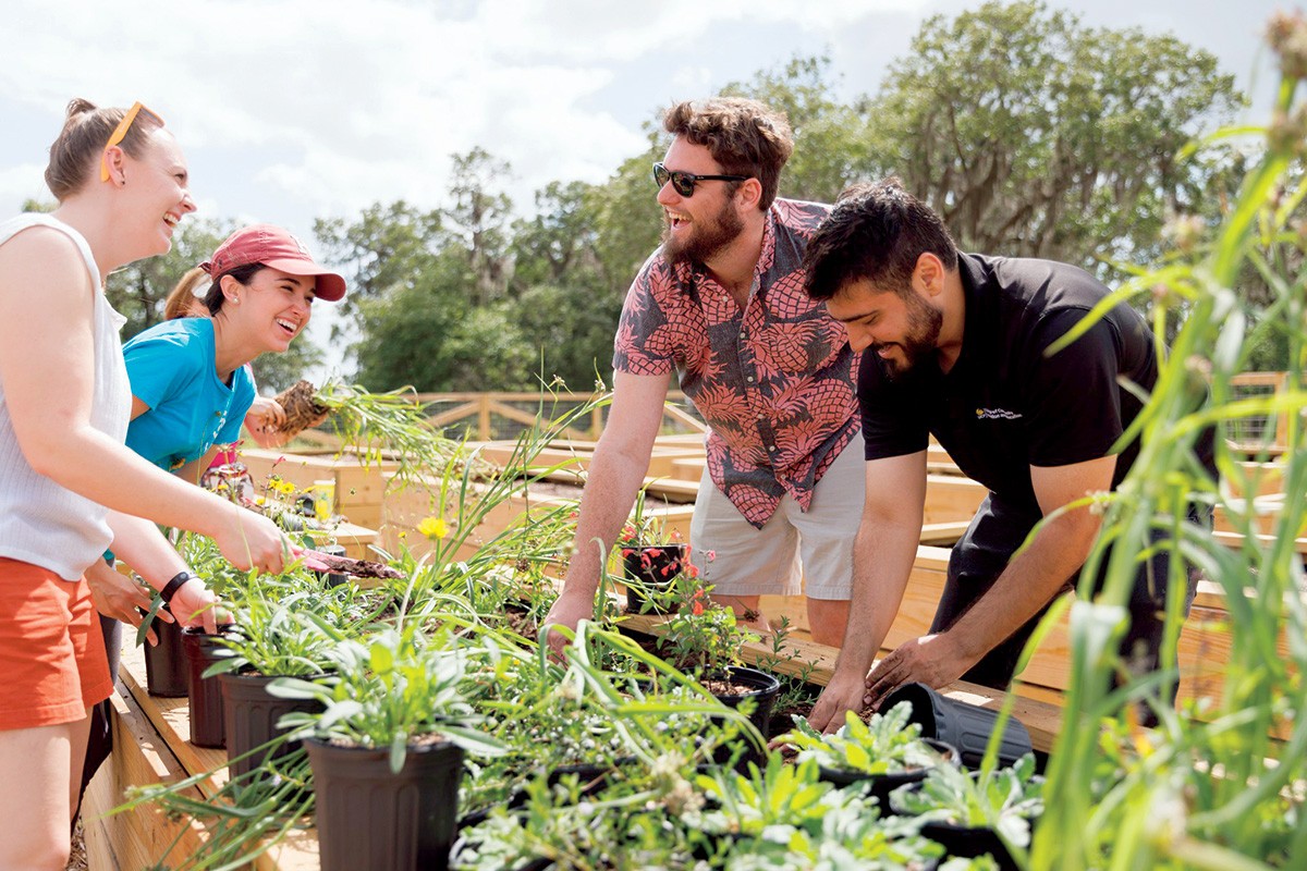 to the Agrihood Florida Trend Feature