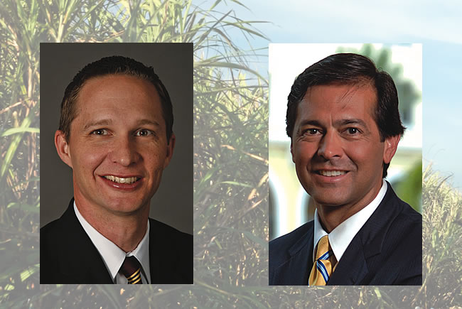 Sugar - Weston & Cantens