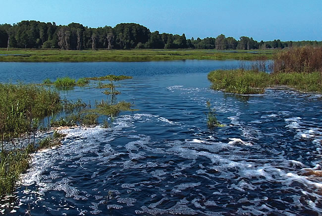 Environment - Resevoir at Pump Station