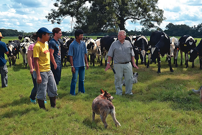 Dairy Farming - Don Bennink