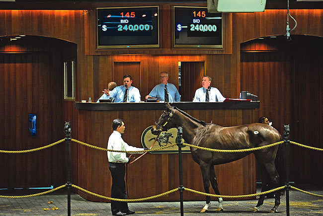 Thoroughbred Breeding