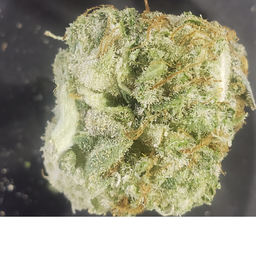 Sherbet Queen Leafly