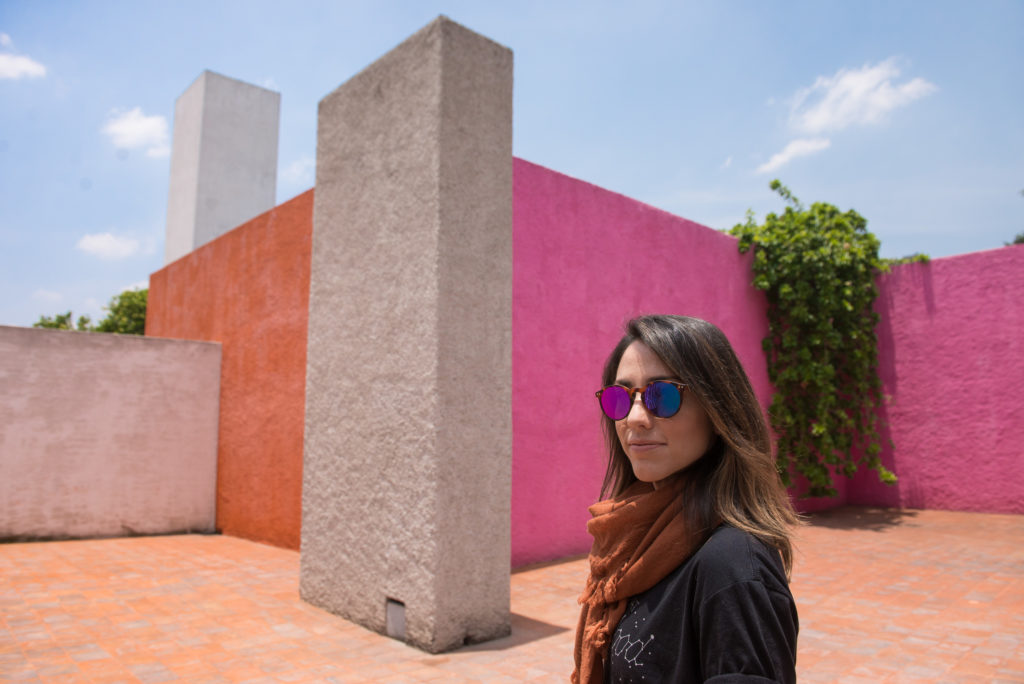Which Spanish program offers the best cultural immersion in Mexico?