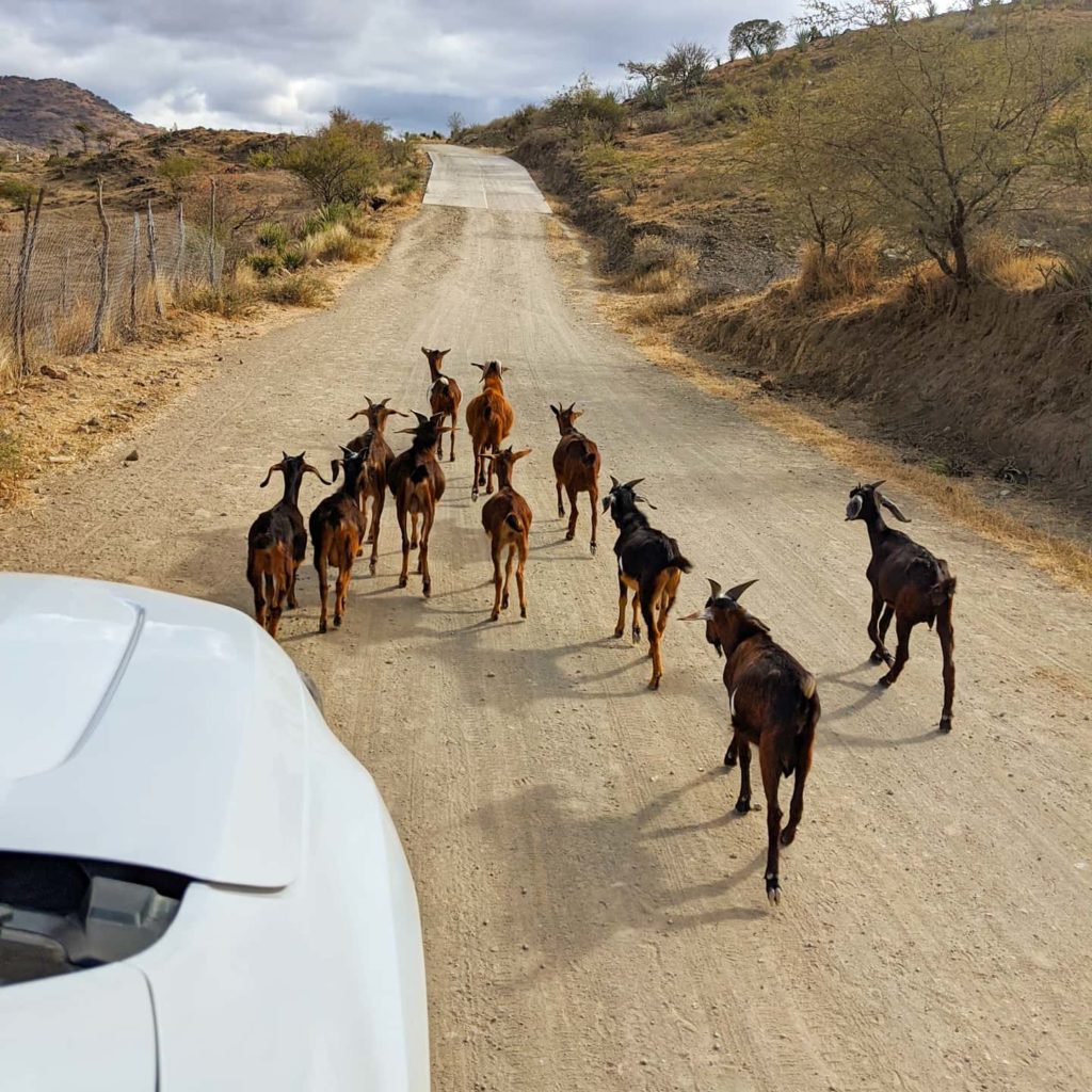 Visiting mezcal country as part of our Oaxaca Spanish Immersions