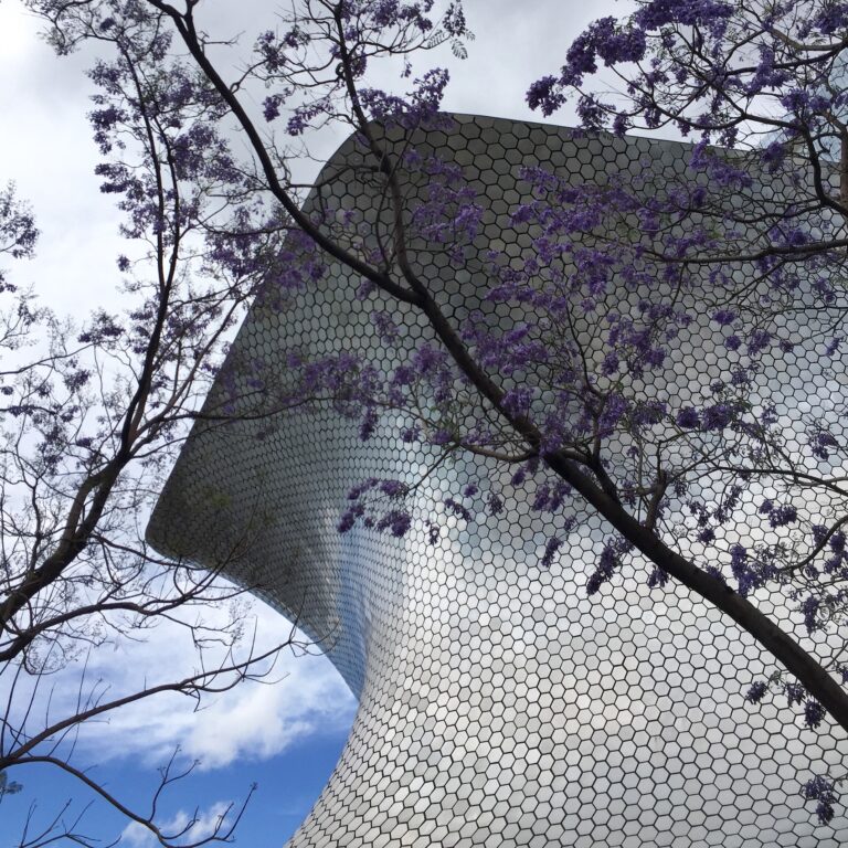 The Fluenz Spanish Immersion in Mexico City lets students see jacaranda blossoms framing the Museo Soumaya’s iconic silver facade, showcasing the city’s luxury setting for learning Spanish.