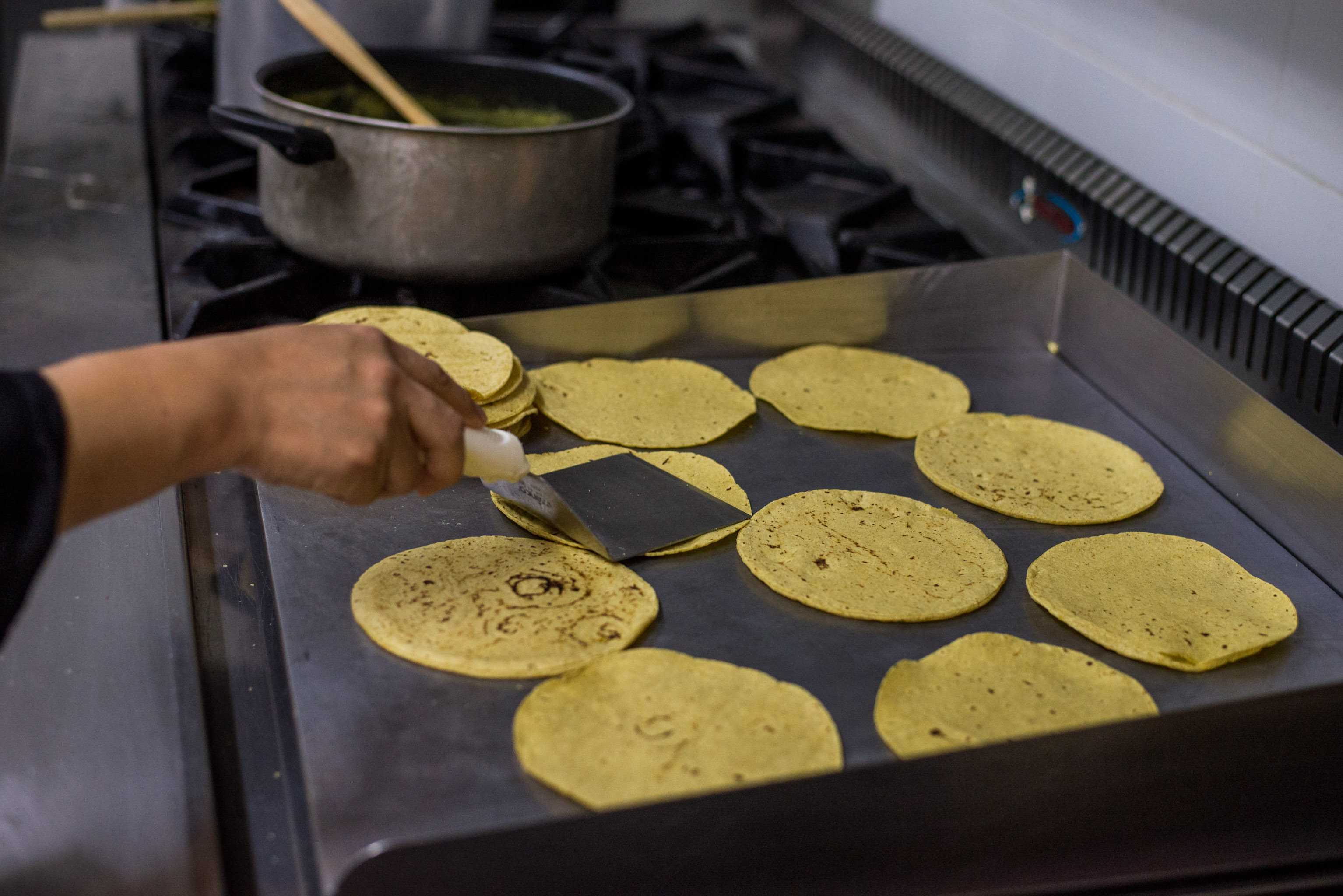 Tortillas, an important part of Mexican culture Fluenz™ Blog