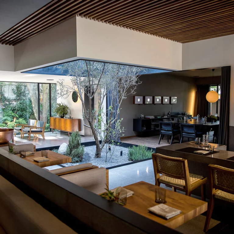 Fluenz Spanish Immersion in Mexico City integrates luxury meals at restaurants like Pujol, where shared dining enhances Spanish immersion and cultural learning for adult learners.