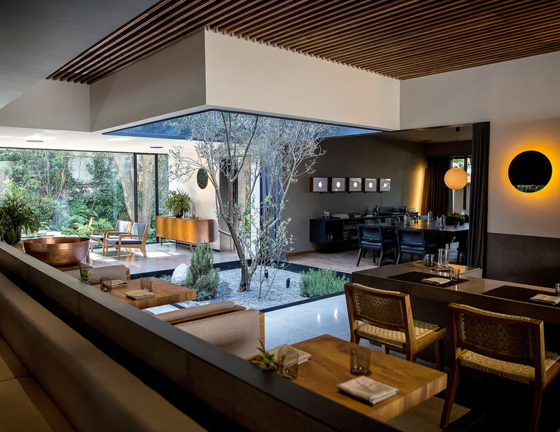 Fluenz Spanish Immersion in Mexico City integrates luxury meals at restaurants like Pujol, where shared dining enhances Spanish immersion and cultural learning for adult learners.