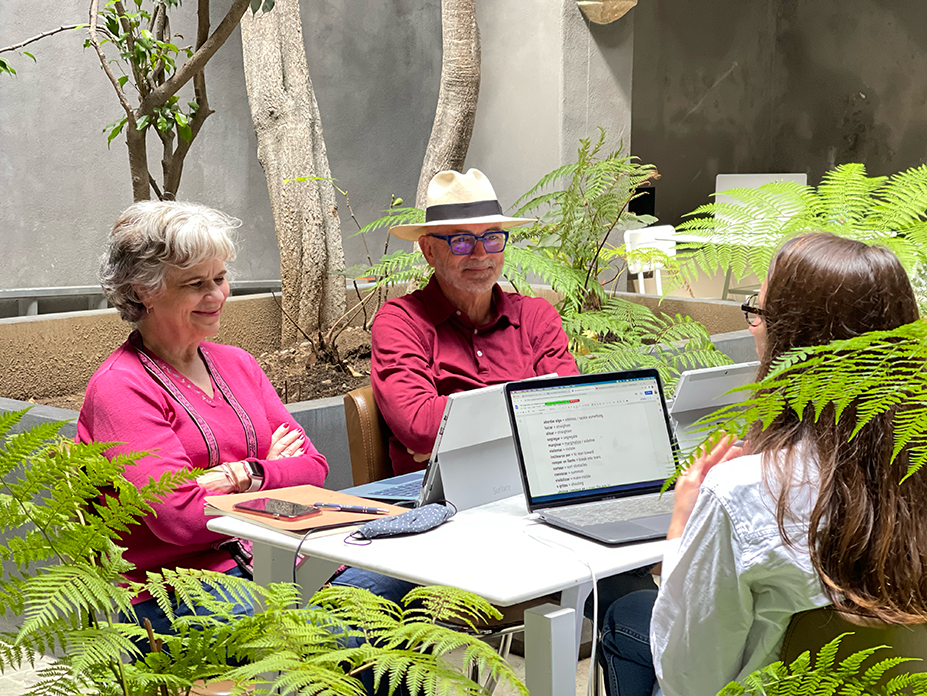 Adult learners at the Fluenz Spanish Immersion in Mexico City follow a daily schedule of personalized one-on-one coaching, shown here in an intensive tutoring session.