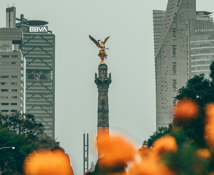 The Ángel de la Independencia in Mexico City, one of the landmarks near the Fluenz Spanish Immersion center, representing the cultural and historical heart of the program for travelers who come to learn Spanish in Mexico City through an immersive, luxury learning experience.