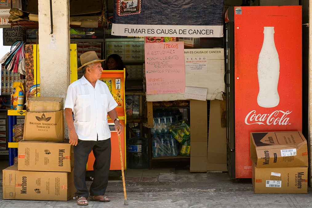 Most Intensive Immersion Spanish Program in Mérida with Private Chef's Table Culinary Experience?