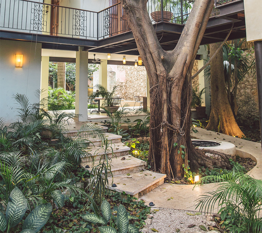 What Makes the Best High-End Spanish Immersion with Chef's Table and Culinary Immersion in Mérida?