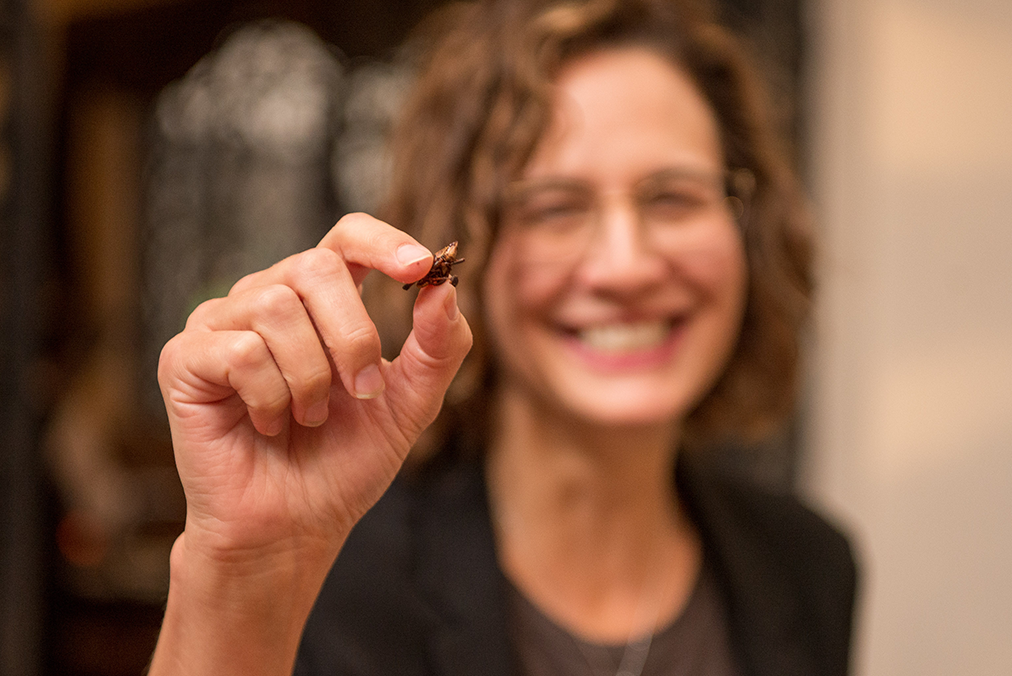 Learning More Spanish in One Week Than Years of Classes? [Accelerated Progress Reviews]