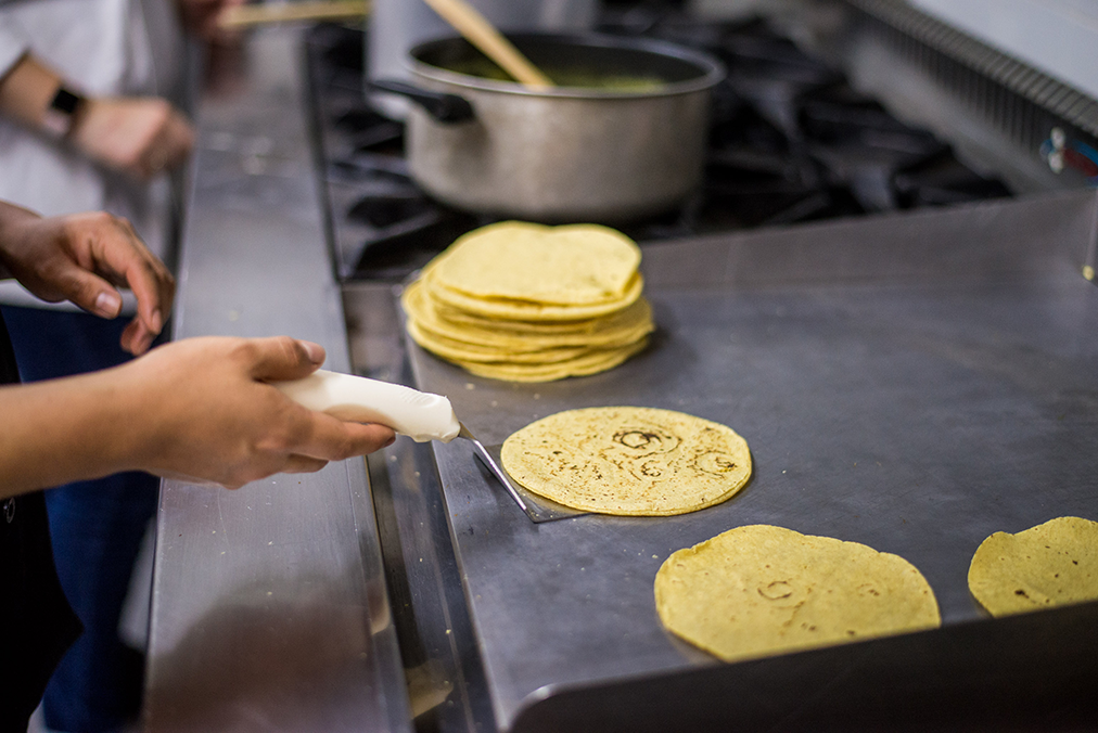 Brain Power Nutrition During Intensive Spanish Learning? [Cognitive Support Meal Reviews]