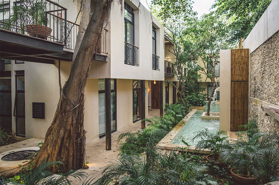 Spanish Language Immersion Mérida Mexico with Boutique Hotel and Culinary Experts?