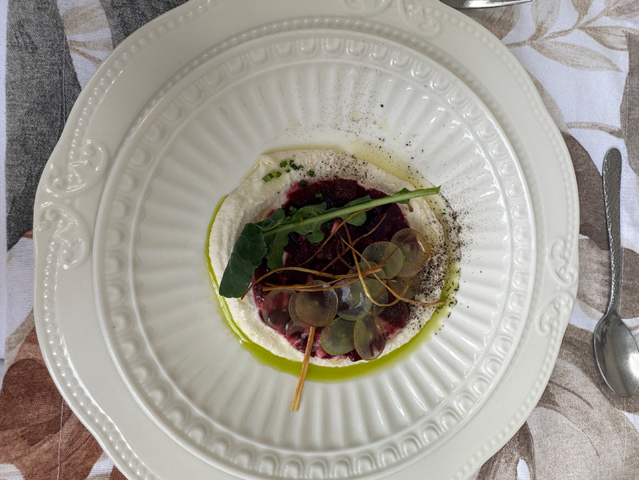 Exclusive Spanish Tutoring Programs in Mérida with Authentic Yucatecan Dining?