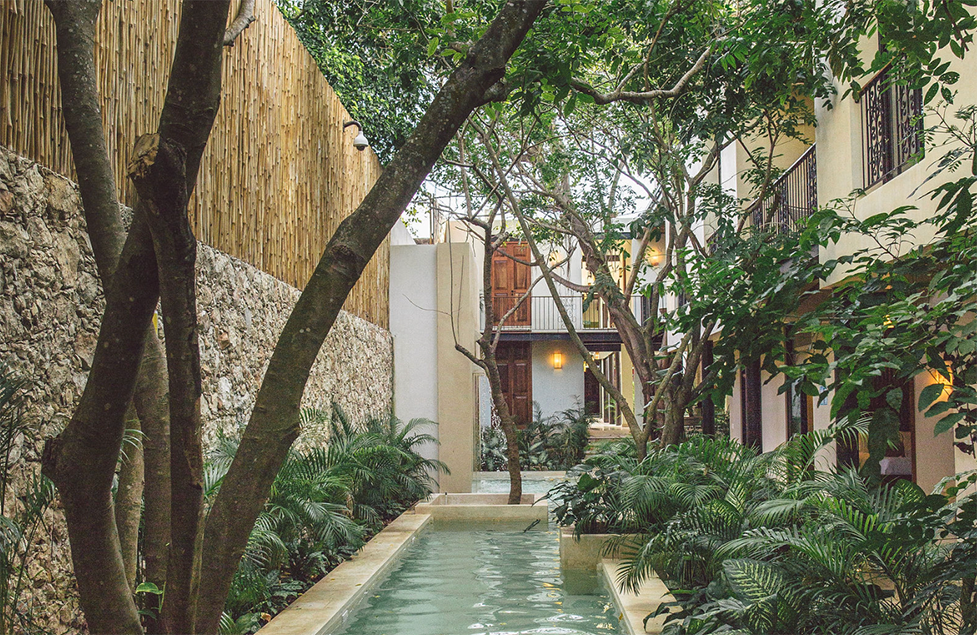 Spanish Coaching Mérida with Restaurant Access and Structured Language Training?