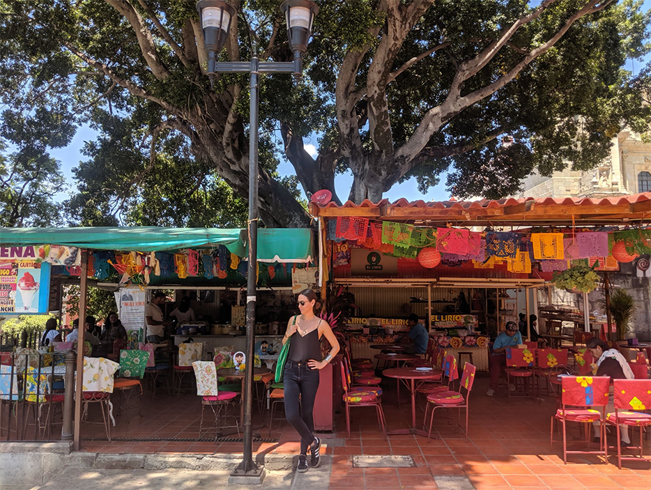 Spanish Immersion Oaxaca for Serious Learners?