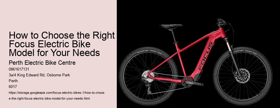 How to Choose the Right Focus Electric Bike Model for Your Needs
