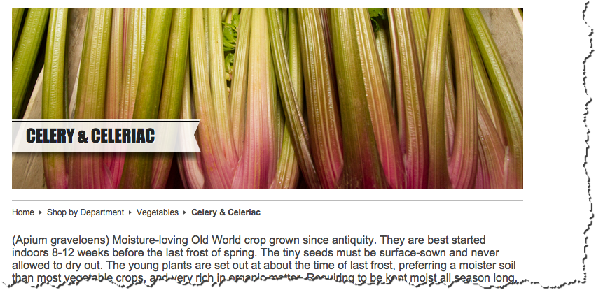red celery