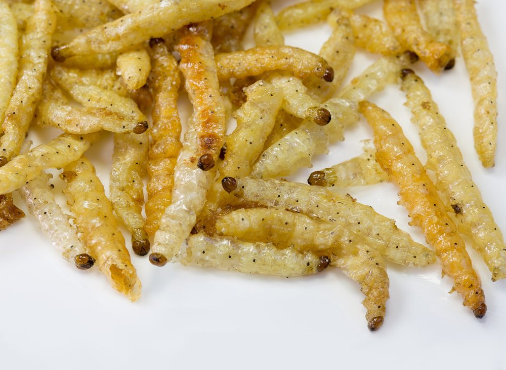 51 Creepy Crawlies That You Can (And Should) Eat Page 2