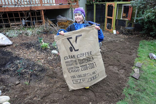 coffee mulch