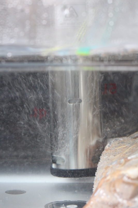 Gourmia GSV130 Immersion Circulator Cooking Salmon Sous Vide. Focus is on the pump and water bubbles