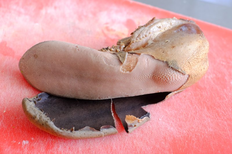 Slow Cooker Ox Tongue in Mushroom Cream Sauce