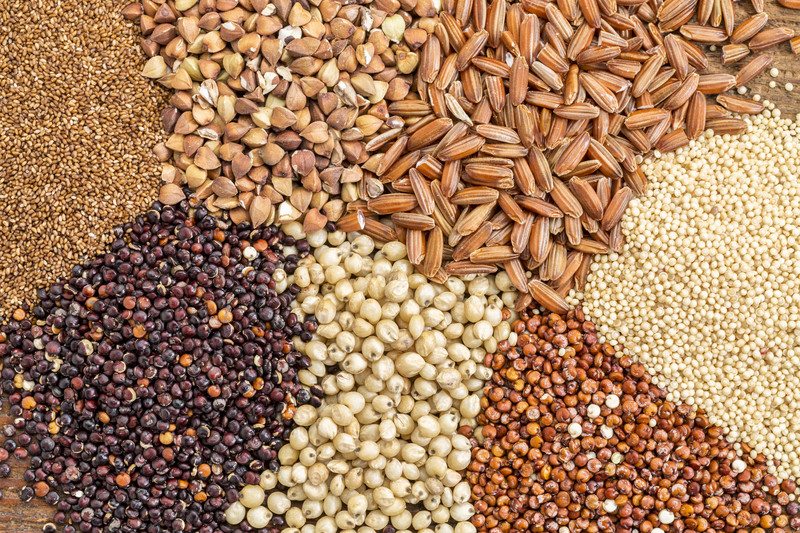 Grain Free Dog Food Recipes Grain Free Dog Food Recipes
