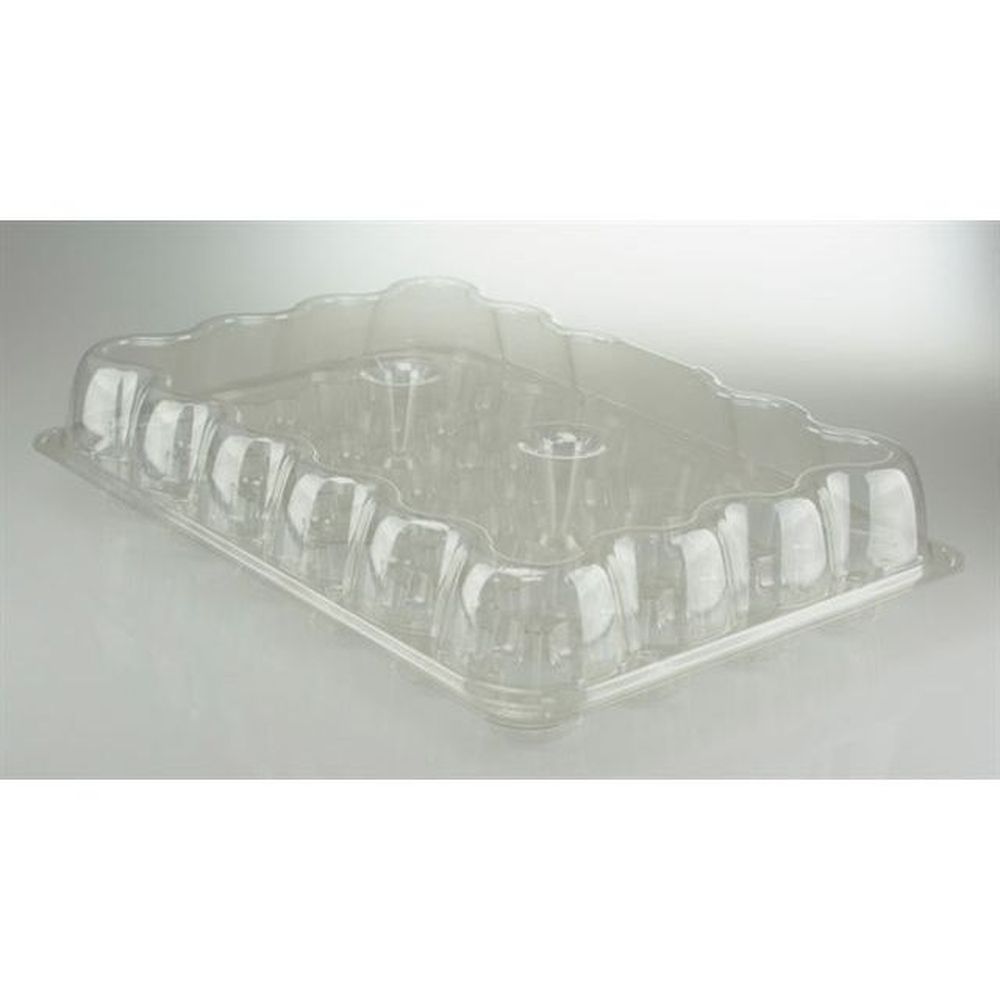 Evergreen Clear APET Hinged Lid Cupcake Container