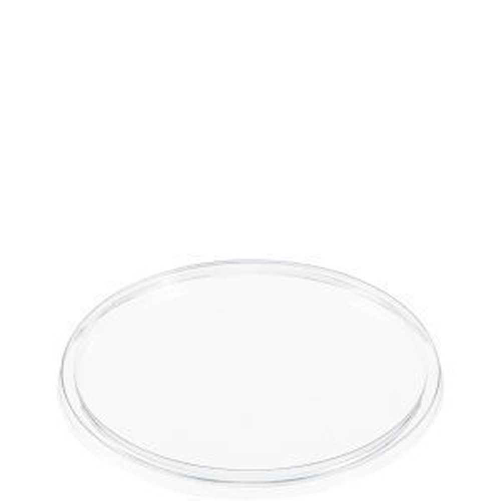 Clear OPS Plastic Non-Vented Lid for 20 Ounce Foam Cup