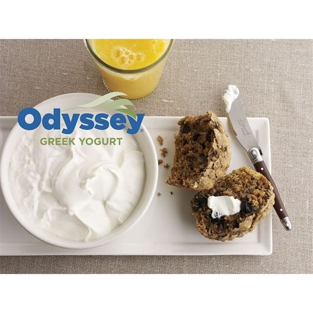 Odyssey Plain Greek Yogurt, 45 Pound
