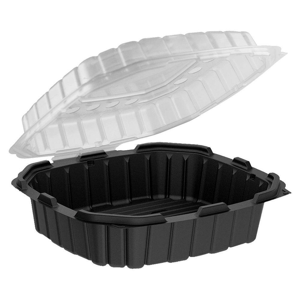 Polypropylene Black Base Clear Lid Hinged Container