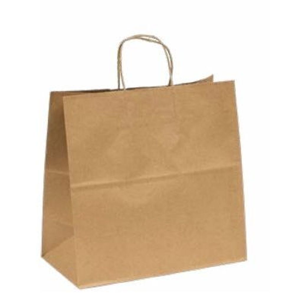 Brown Twist Handle Recycled Paper Bag