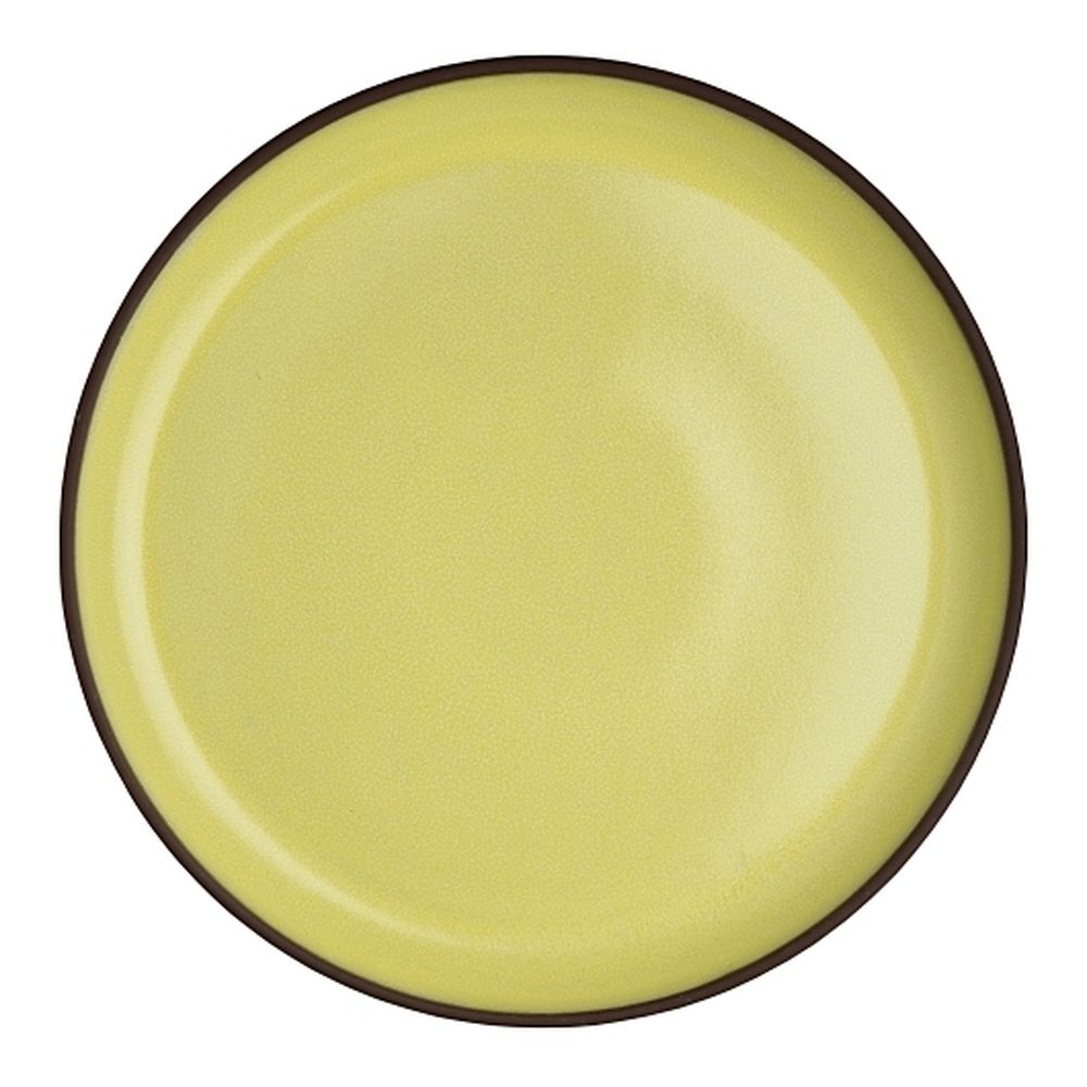 Maham Studio 9.5 Inch Saffron Plate, 12 Count
