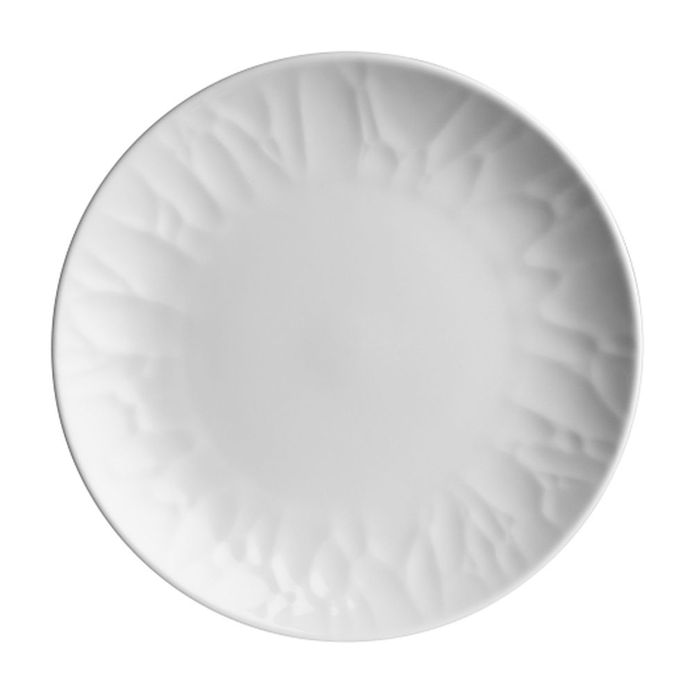 Rene Ozorio 10.625 Inch Atelier Coupe Plate, 12 Count