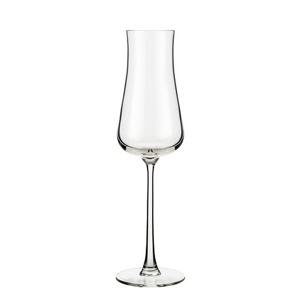 Reserve By Libbey Virtuoso Storytellers Flute Cocktail Glass, 8 Ounce Capacity -- 12 Per Case