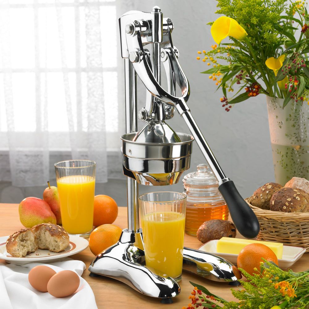 Product gallery 478506431