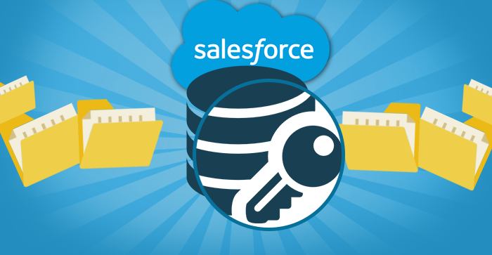 Salesforce Data Access and Visibility