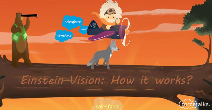 Salesforce Einstein Vision: How it works?
