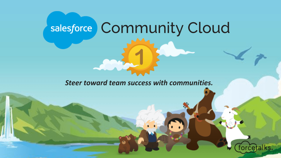 Salesforce Community Cloud